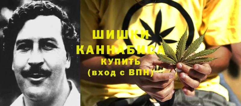 Бошки марихуана Bruce Banner  hydra tor  Краснозаводск  продажа наркотиков 